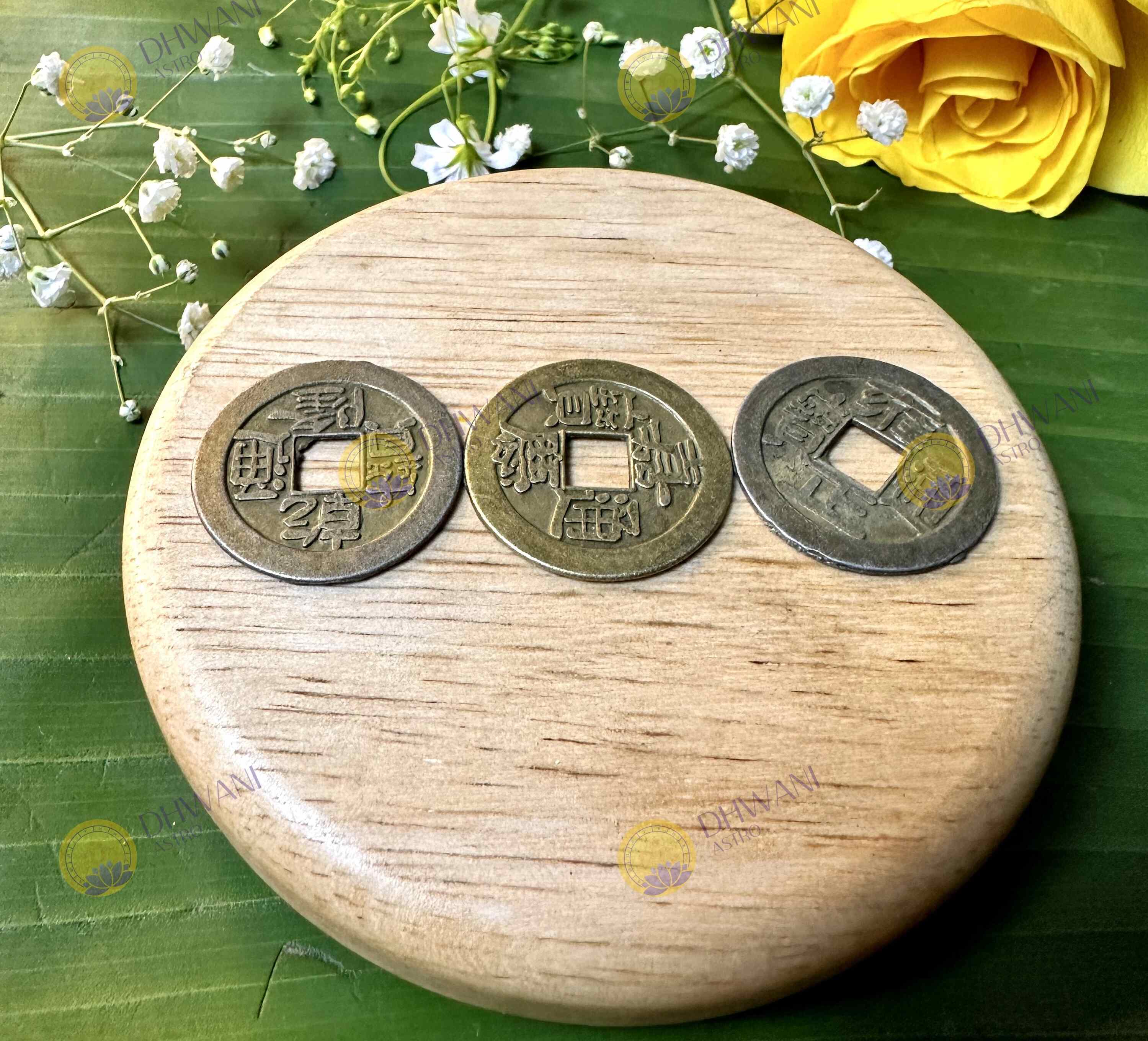 Feng shui Money Magnet coin (Pack Of 5)